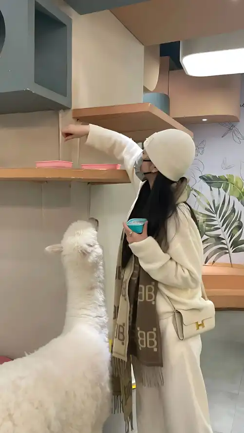 365_妺妺窝人体色www看美女_午夜在线电影网